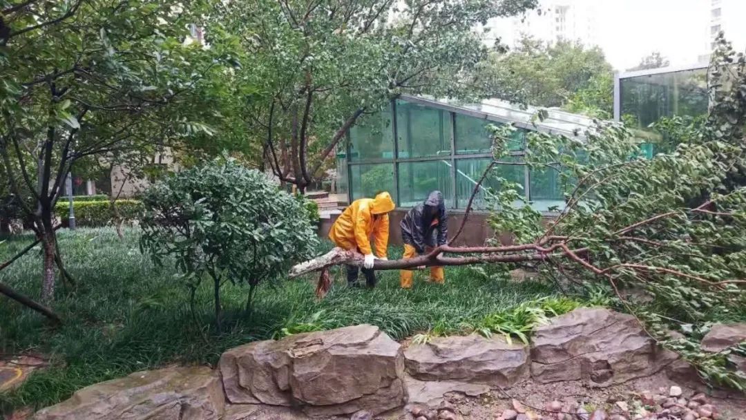 風雨中的堅守丨智慧物業事業部迎戰臺風“煙花”