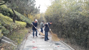 點亮綠色之夢
