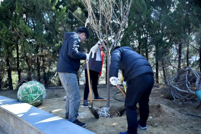 春風十里，植下一片綠 | 瑞源控股集團開展2023年植樹節系列活動