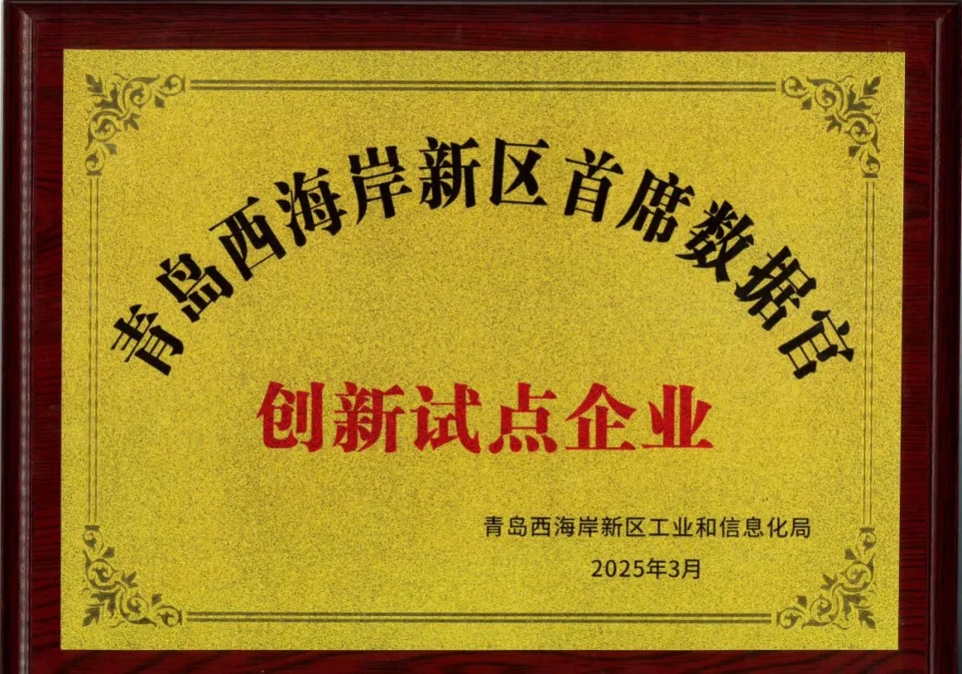 文達(dá)通股份入選新區(qū)首批首席數(shù)據(jù)官創(chuàng)新試點企業(yè)